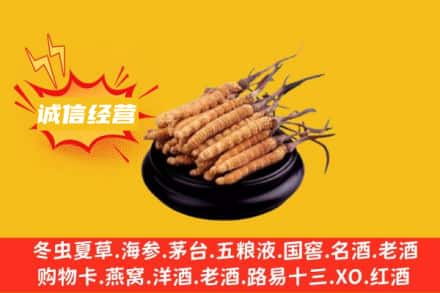 南京市鼓楼回收冬虫夏草